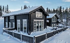 Are Valley Lodges - Grand Ski Lodge